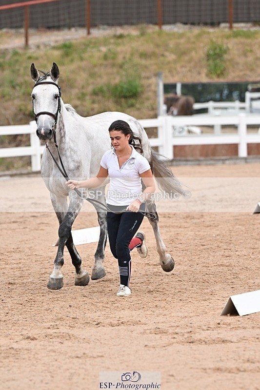 250716-143225-01180 - Trot Up 2.30 to 3.30