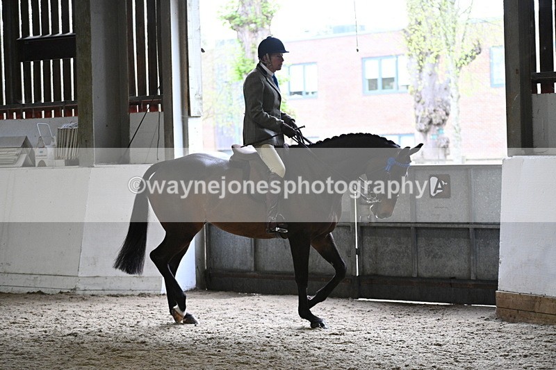 WJ7_3790 - Class 17 Ridden Cob