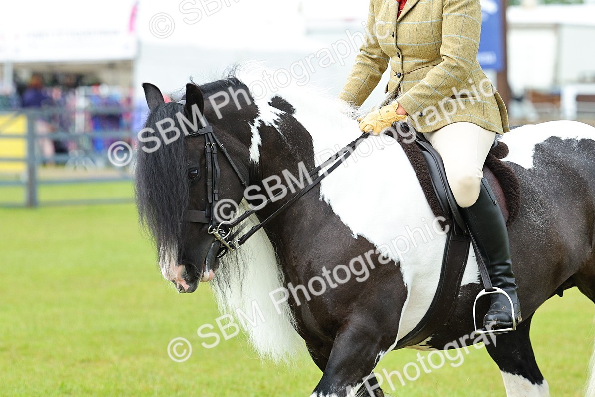 SBM_01254 - Class 1-4 - BSPA Ridden