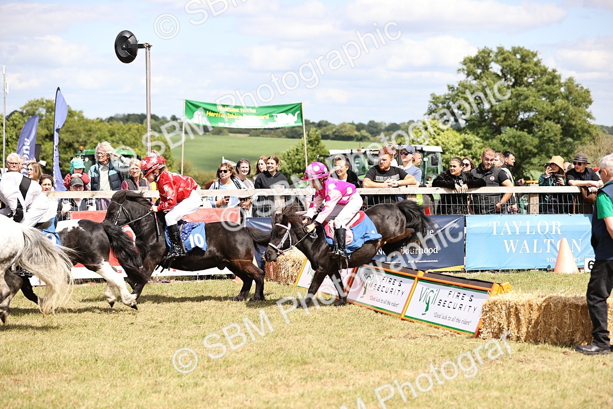 SBM_16594 - Dinky Derby