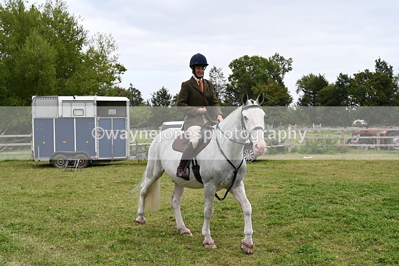 WJ6_2995 - Berks & Bucks - The Old farmhouse - Hound Exercise 20-08-25