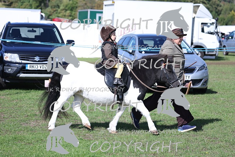 APP_3822 - Class 13 Lead rein