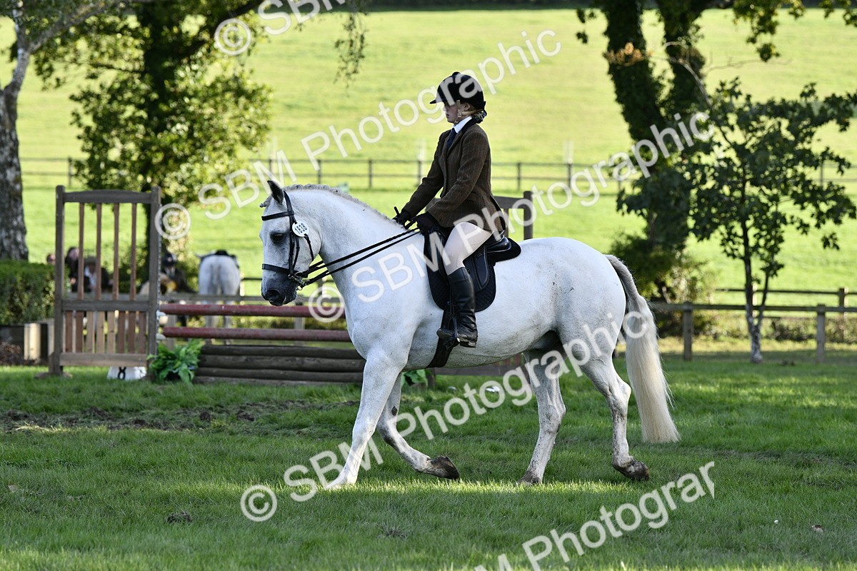 SBM_53513 - S14 - Riding Club Horse