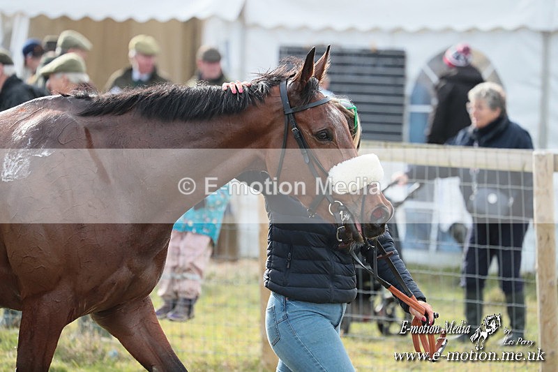 PtP 220225 131 - Kimblewick Point-to-Point  Kingston Blount 22/02/25