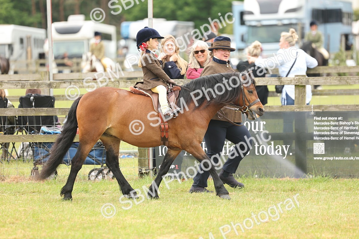 SBM_06664 - Class 74-75 - M&M Lead Rein and First Ridden Pony