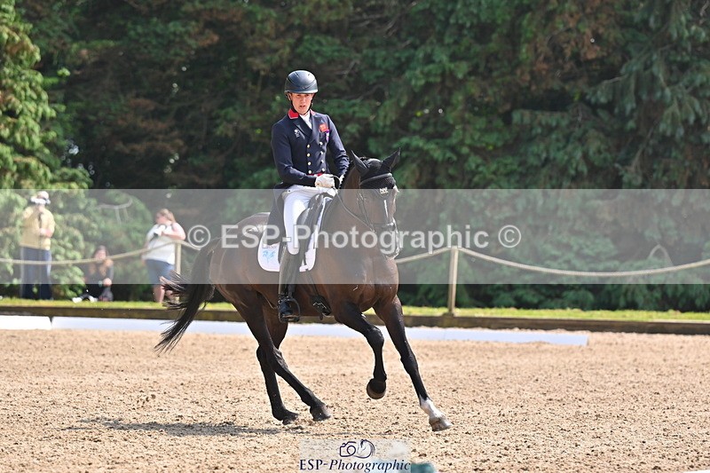 250523A-145737-07405 - B-365-Tom.McEwen-MAESTRO