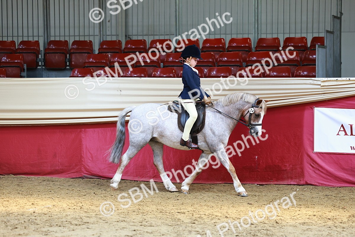 SBM_23885 - Class 905 - Supreme Final - Ridden Veteran