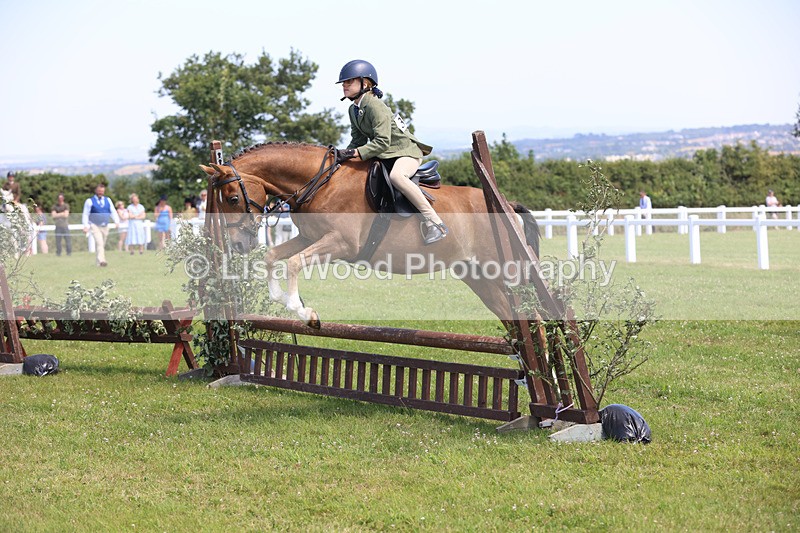 JPP_2658 - Class 21: Working Hunter 60cm