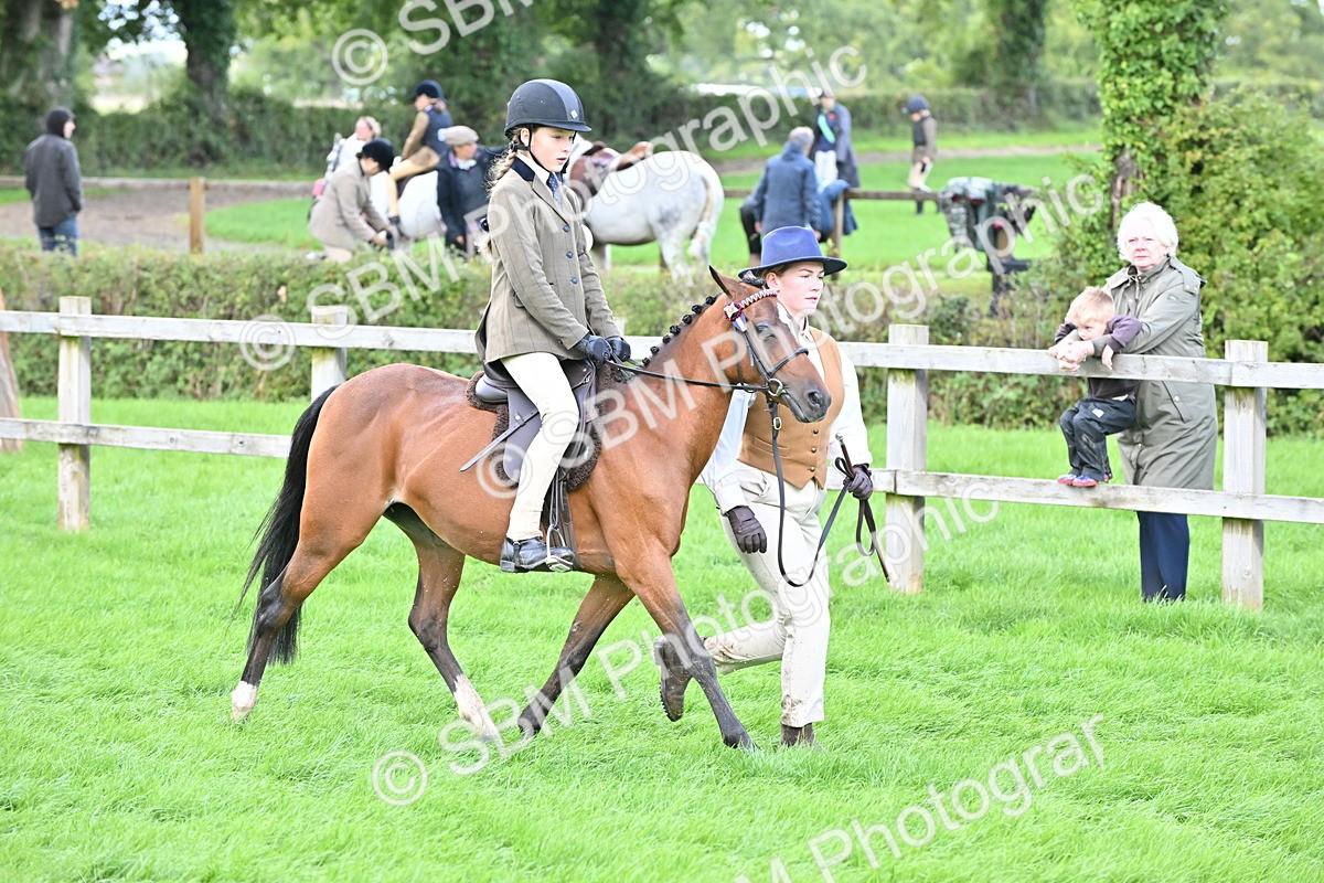 SBM_38322 - S19 - Lead Rein Show & Show Hunter Pony