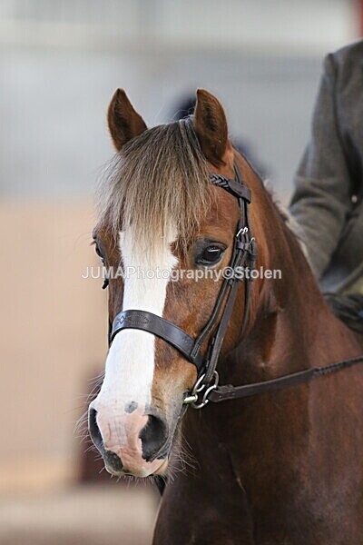 SIAL1489 - Indoor Classes