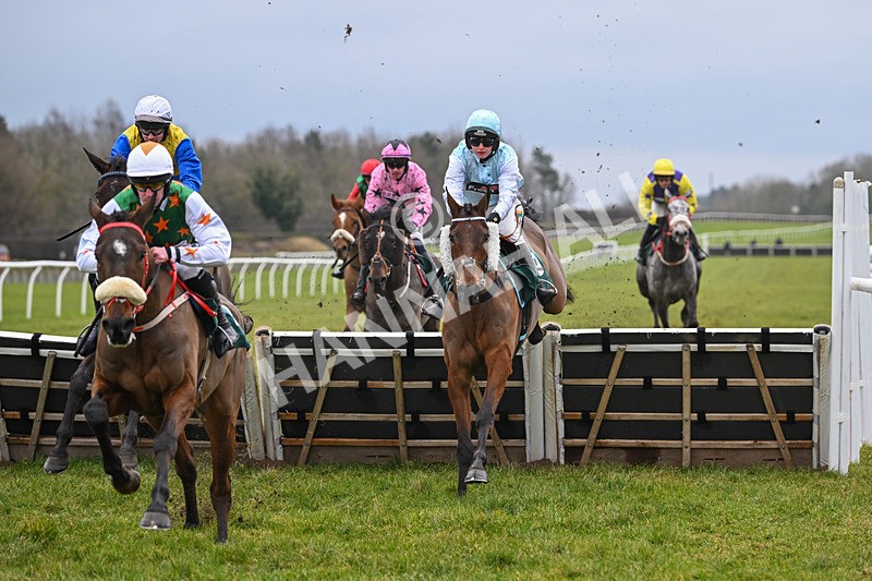 100225-Race 1-Tigerbythetail-6266 - Race 1