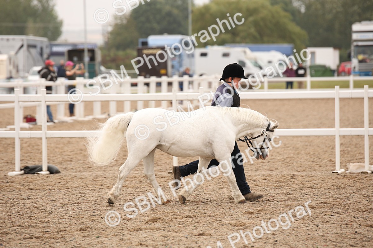 SBM_22105 - Class 707 - Ridden Groom-Helpers Class