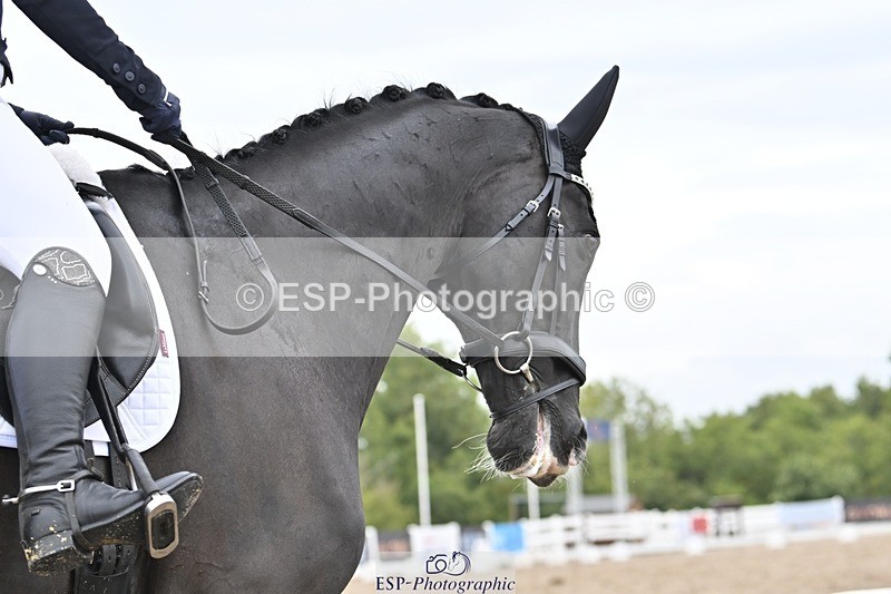 250907-124151-08101 - 034-Jasmine.SmithNigrasine.Rain