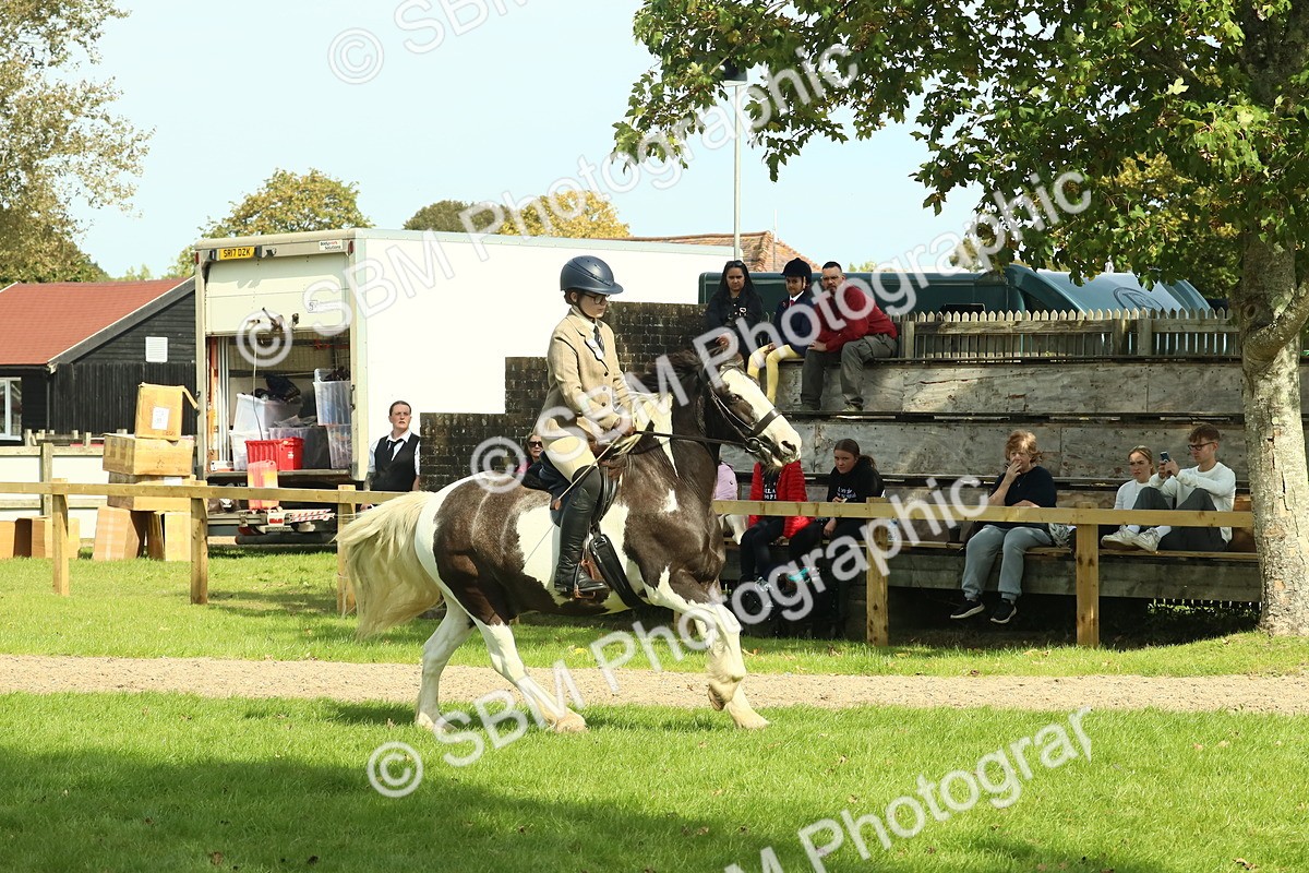 SBM_67521 - S56 - Coloured Pony Ridden