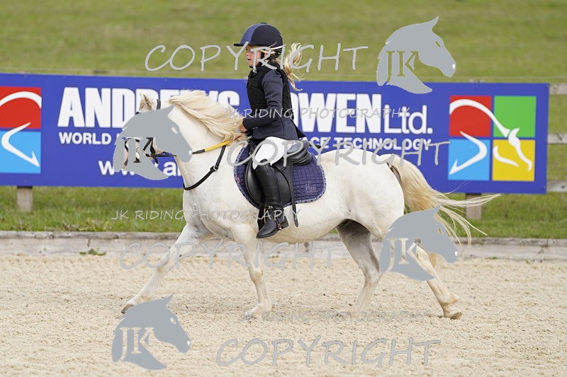 _DSC0047 - Mini Pairs