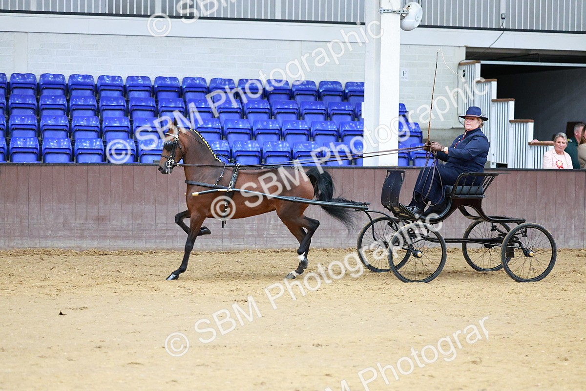 SBM_000638 - Class 9 - HHS Championship Intl Hackney Pony to a Showwagon