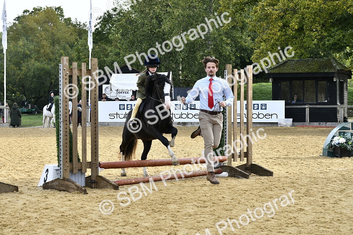 SBM_57111 - J61 - Mini Clear Round 30cm & 40cm