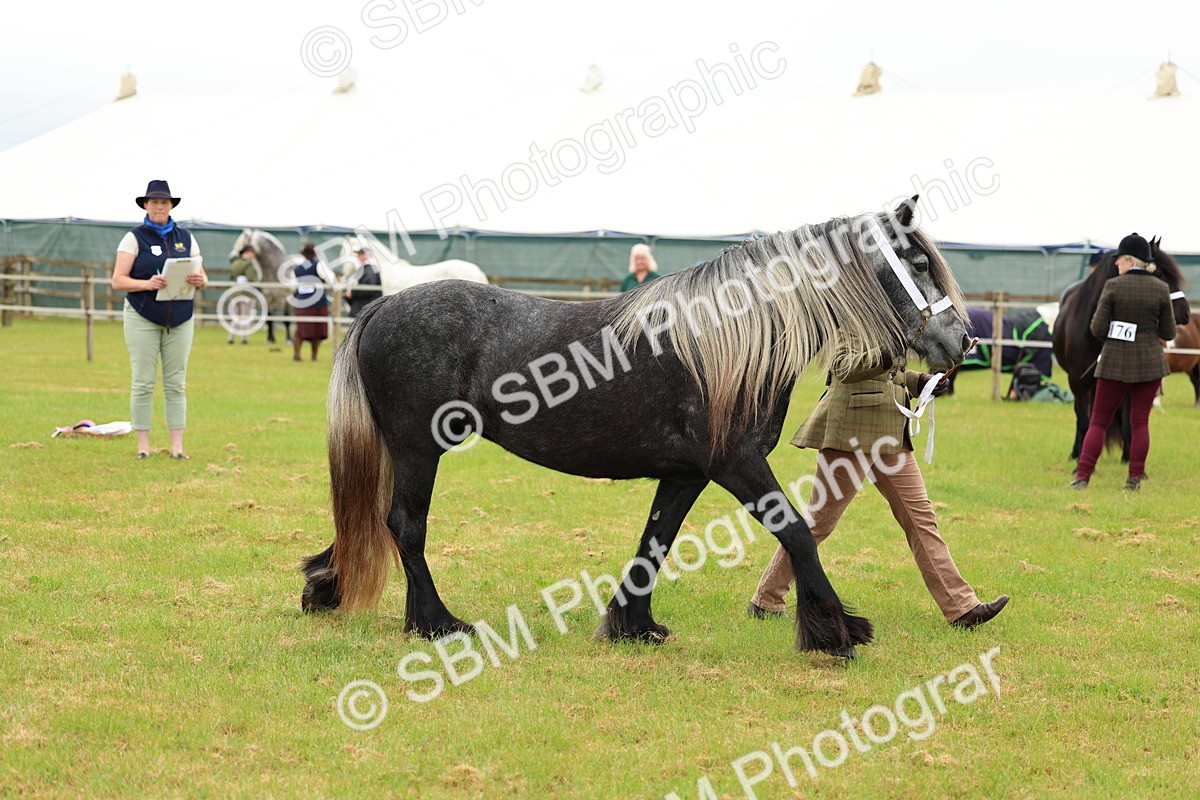 SBM_00393 - Class 58-67 - M&M Non Welsh Pony In hand