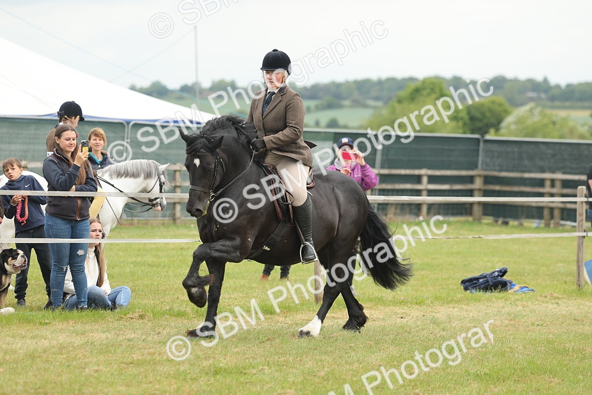 SBM_07215 - Class 76-77 - Ridden M&M Welsh Ponies