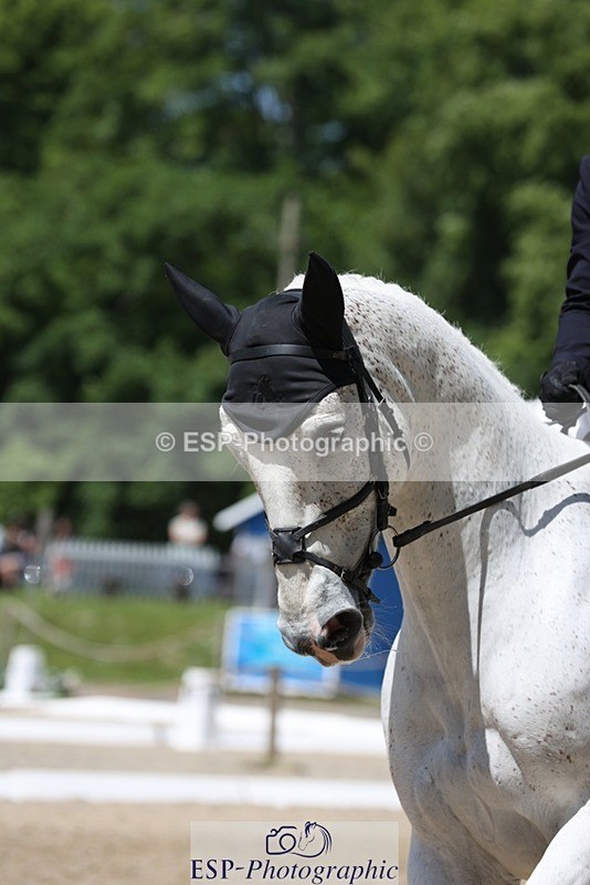 230526-125431-06282 - 163-UVERA_Z-Harry_Meade-WEDTrotUp+DR