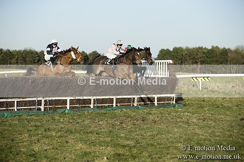 PtP 070118 -596 - Larkhill Racing Club Point to Point Larkhill 07/01/2018