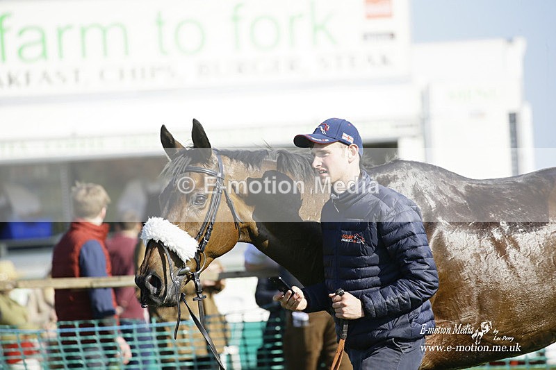 PtP 190322 623 - Wilton Hunt PtP Milborne St Andrew 19/03/22