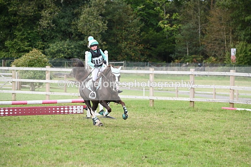 WJ6_1451 - 60cm Time 11:51 to 12:10