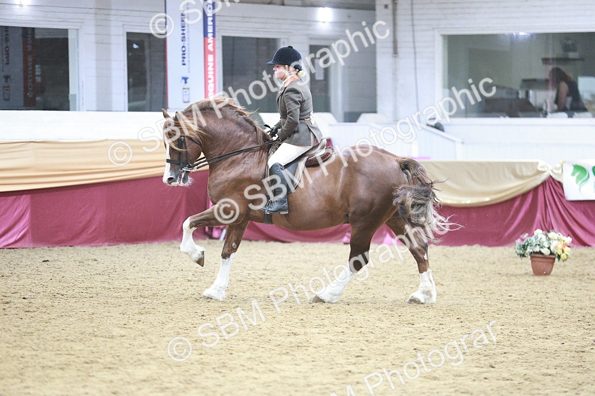 SBM_08929 - Class 12R - Regional Ridden Pre-Vet