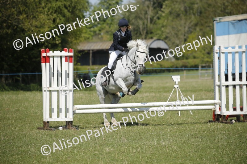20250427-2178 - Class 13 - Novice Jumping 60cm