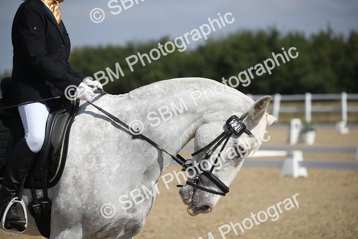 SBM_005982 - Novice 5 - 8.30.10.39