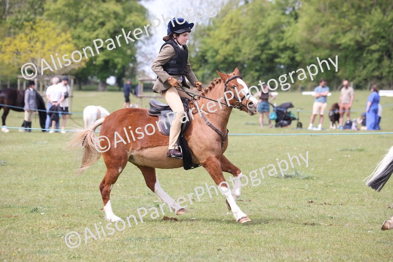 20260426-2965 - Class 33 - Best Pony 14.2hh and Under