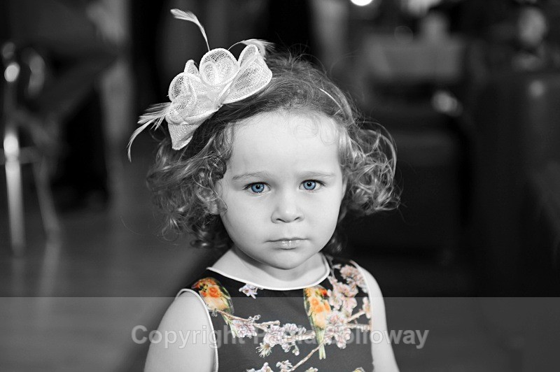  - Wedding Portfolio