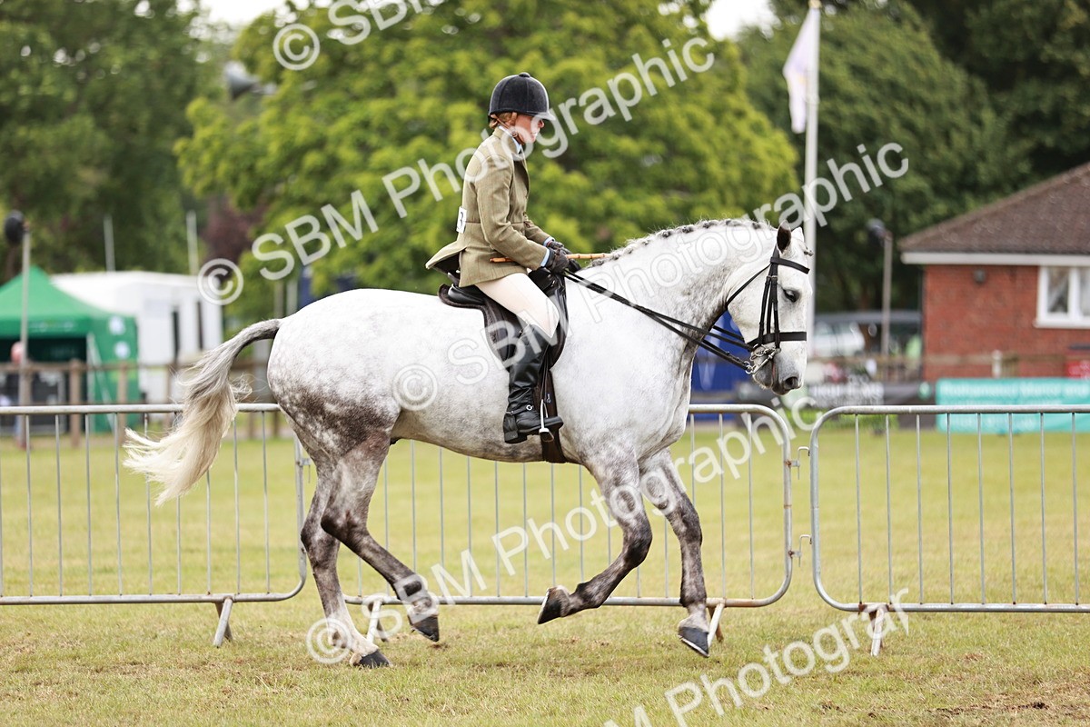 SBM_10767 - Class 81-84 - RIHS Ridden hunters Inc Ladies Hunter
