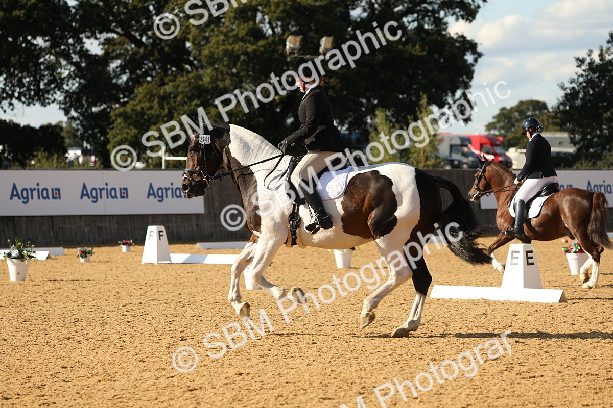 SBM_26849 - D17 - Grand Tour Championship - Novice 27