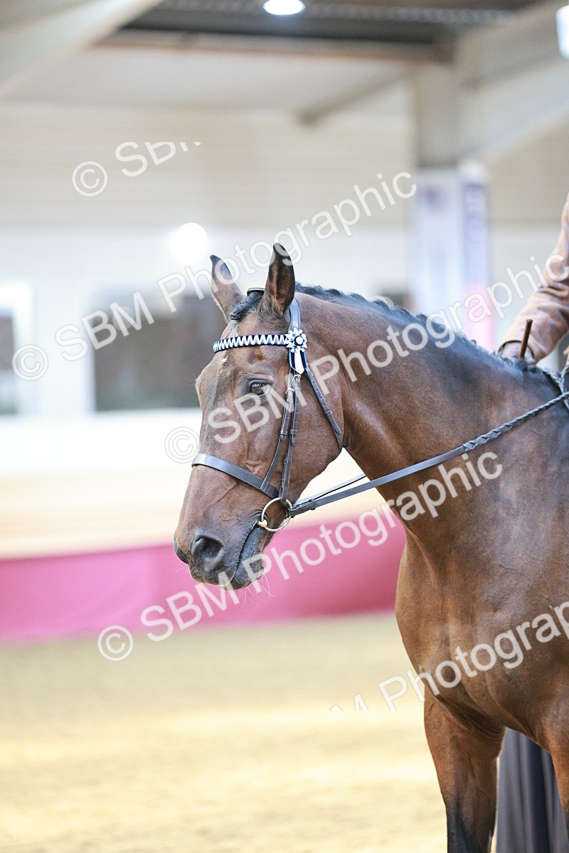 SBM_07064 - Class 10R - Regional Ridden Diamond