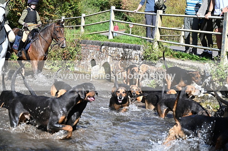 WJ7_5987 - Hounds Water Crossing