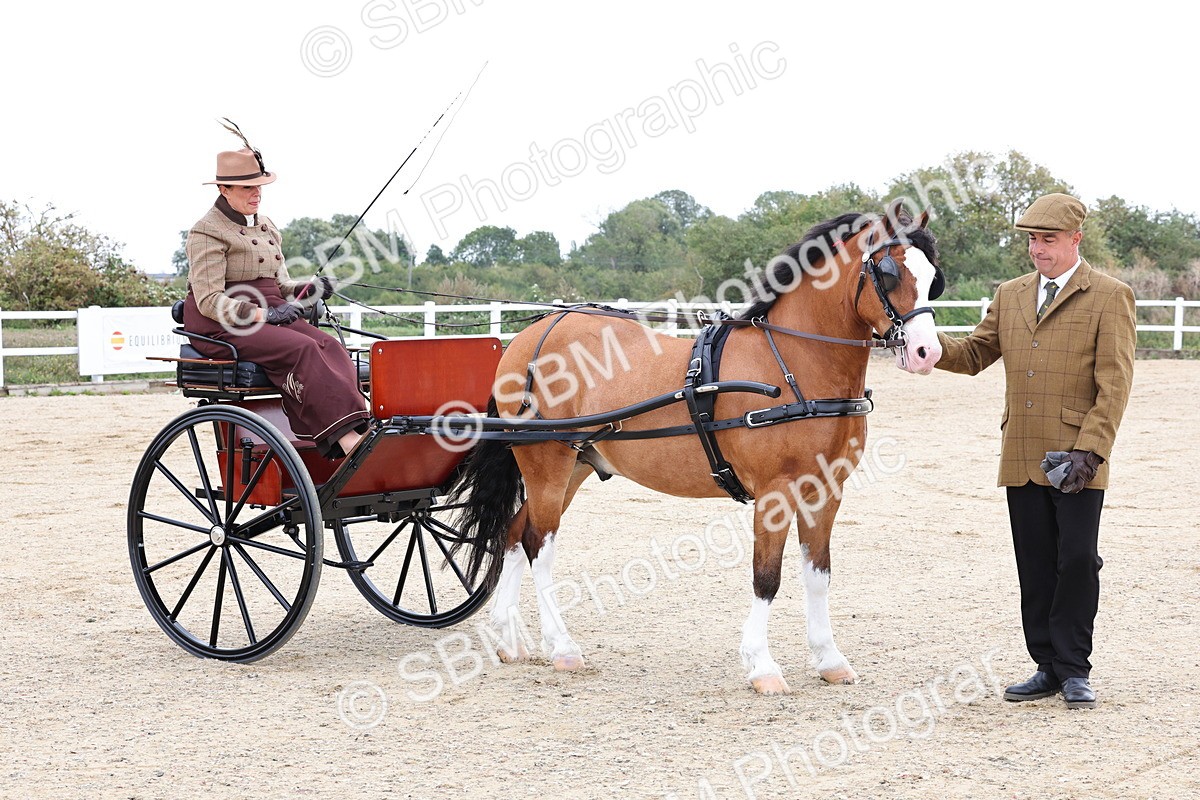 SBM_000294 - Class 2 - Exercise Vehicle 13.2hh & Under