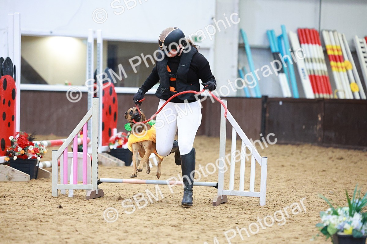 SBM_001719 - Class 3 - Horse & Hound (60cm)