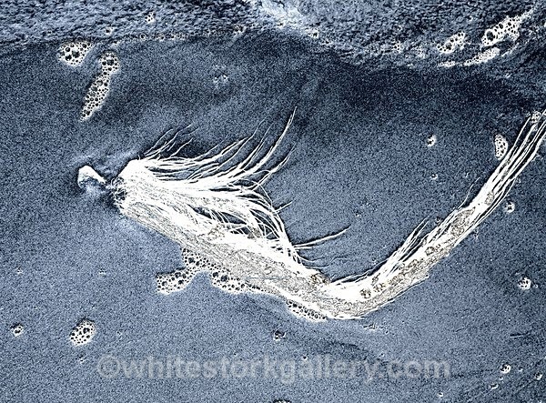 Sand Spirit - The Sand Gallery