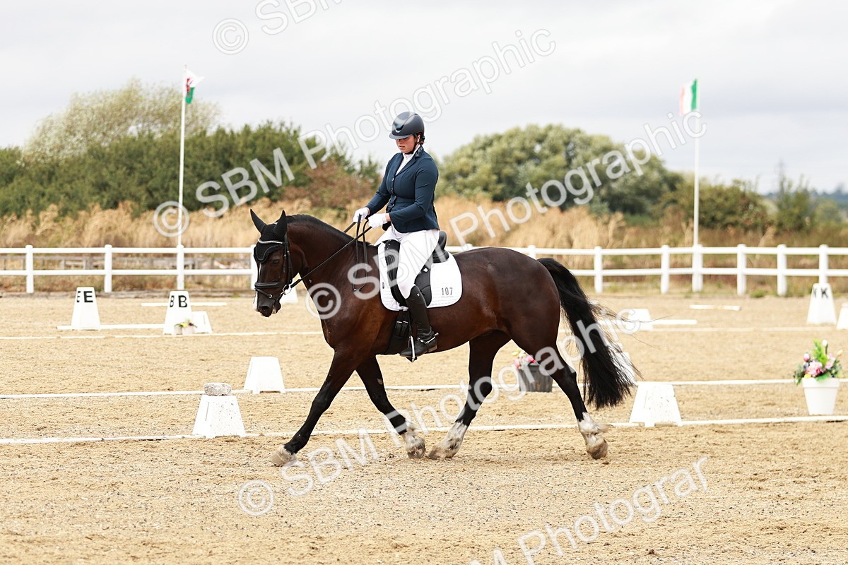 SBM_003715