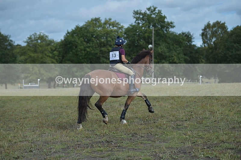 NGP_1171 - XC Time 10:38 to 10:51