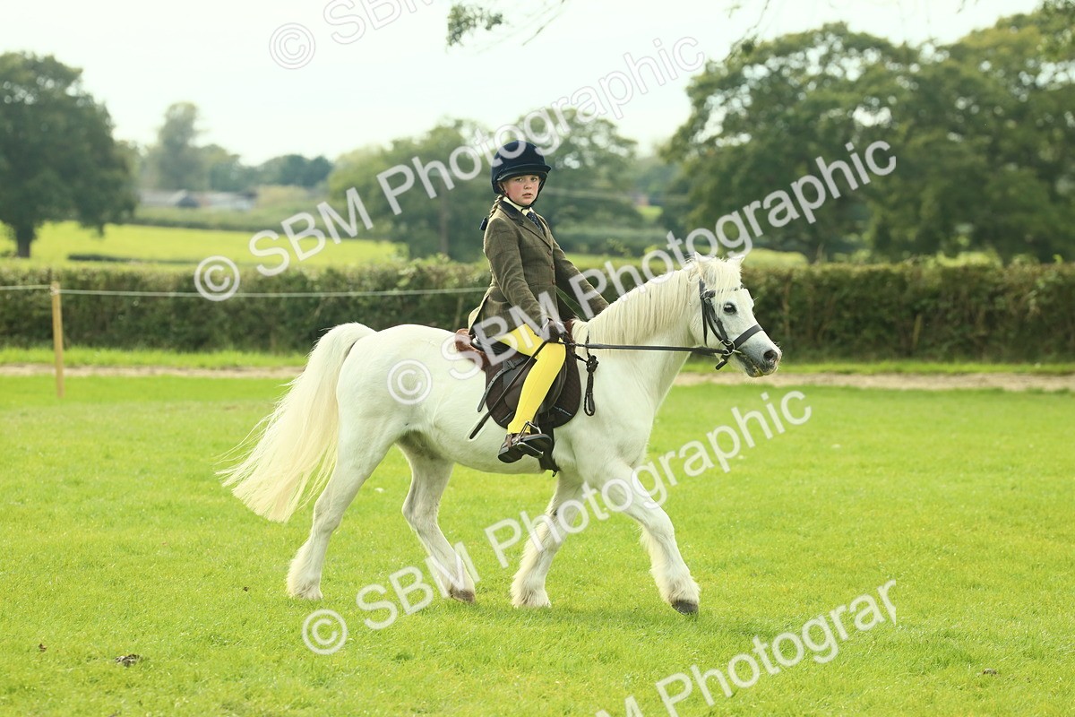 SBM_69812 - S59 - Mountain & Moorland Ridden Small Breeds
