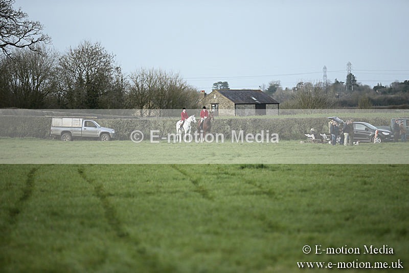 PtP 230319 385 - VWH Hunt Siddington Point-to-Point Racing 23/03/19