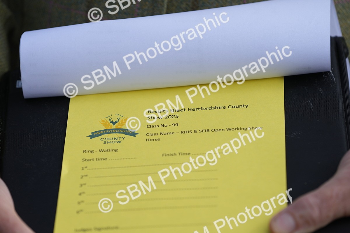 SBM_12865 - Class 99 - RIHS SEIB Working Show Horse