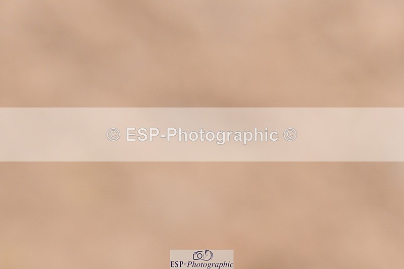 240121A-104353-00465 - Cls 5 Novice 37A