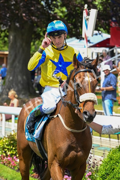 130625-Race 1-Feel The Need-8446 - Race 1 1.50pm Andy Thornton Hospitality Furniture Apprentice Handicap