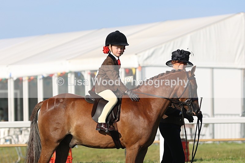 JPP_0715 - Class 16: Cornish Combination Leading Rein