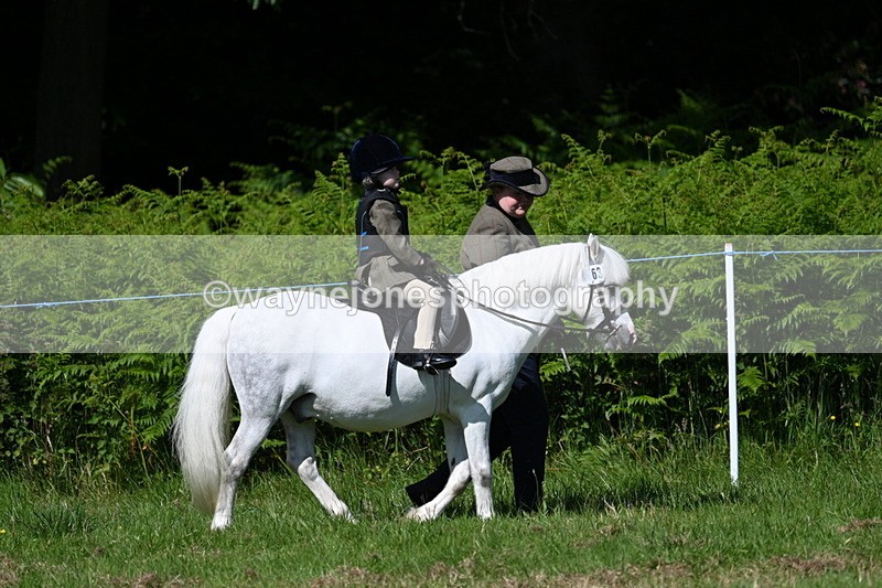 WJ7_0682 - Class 8 First Rally Pony