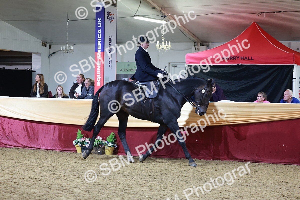 SBM_20951 - Class N - Side Saddle Champ
