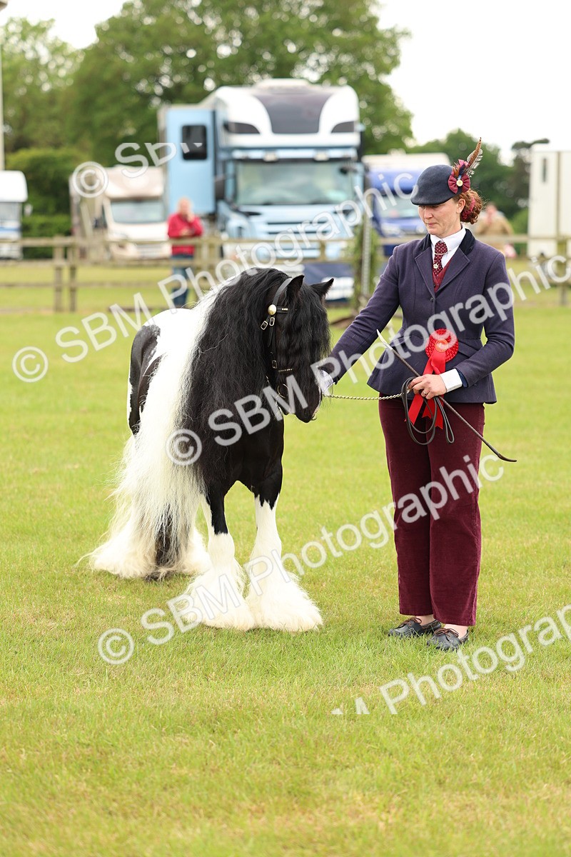 SBM_06350 - Class 39-41 TGCA In Hand and Ridden